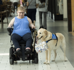 Bari and Service Dog Anikan holding her purse in a mall